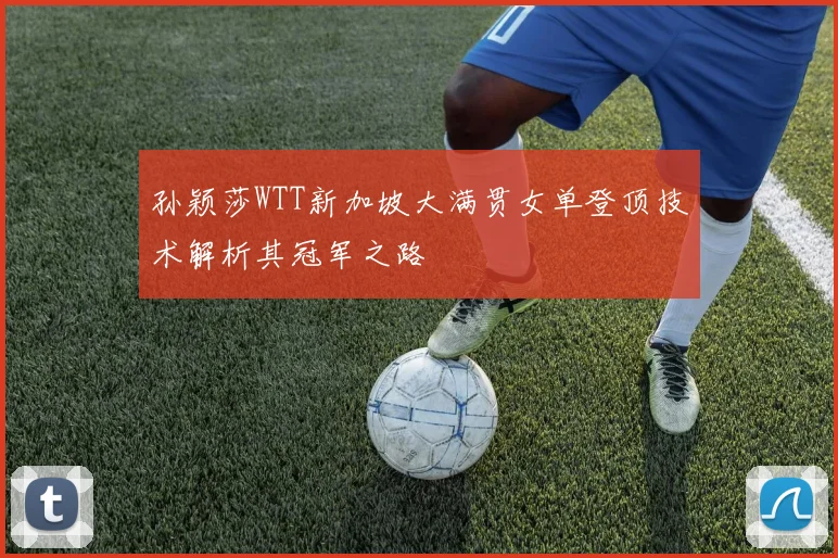 孙颖莎WTT新加坡大满贯女单登顶技术解析其冠军之路