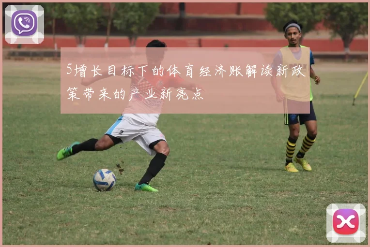 5增长目标下的体育经济账解读新政策带来的产业新亮点